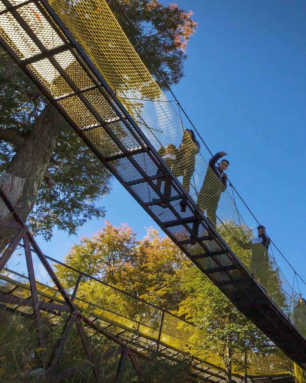 View from below the suspension bridge with people waving on a sunny day with trees in the background and a clear sky