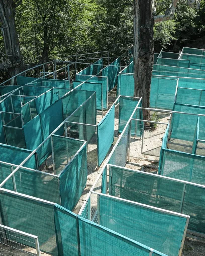 Top view of the Cerro Otto Cable Car forest labyrinth on a sunny day
